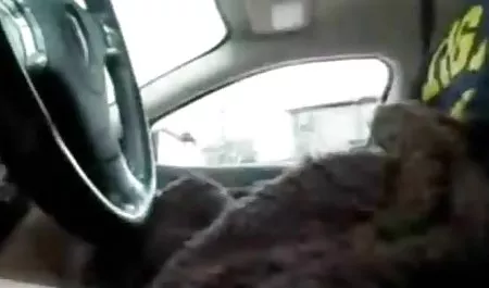 ડિપિંગ કિશોર કે કિશોરી Fucks સાવકા પિતા પોર્ન સાથે ભારતીય મહિલા માટે ગરીબ ગ્રેડ!